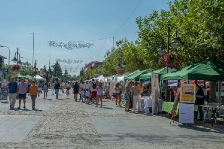 Imagen XV Feria de Entidades de Acción Voluntaria de Majadahonda