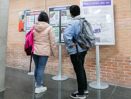 Imagen Taller de Orientación hacia la vida profesional