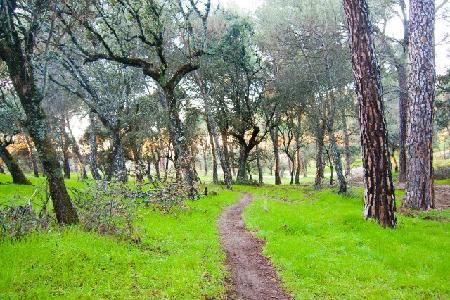 Imagen Rutas por el Monte del Pilar