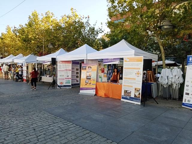 Imagen XVI FERIA DE ENTIDADES DE ACCIÓN VOLUNTARIA - Domingo 15 de septiembre-