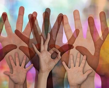 Imagen Próximos cursos de voluntariado